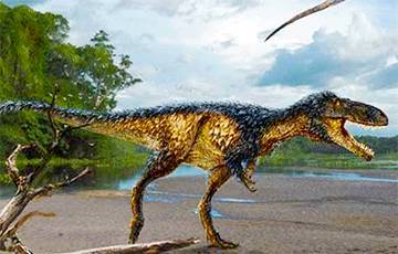 Ученые обнаружили динозавра нового для науки вида