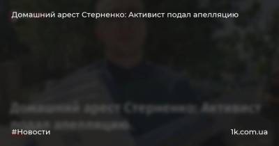 Домашний арест Стерненко: Активист подал апелляцию