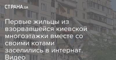 Первые жильцы из взорвавшейся киевской многоэтажки вместе со своими котами заселились в интернат. Видео