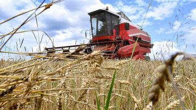 Экспортеры зерна недополучили $5 млн прибыли из-за введения квот