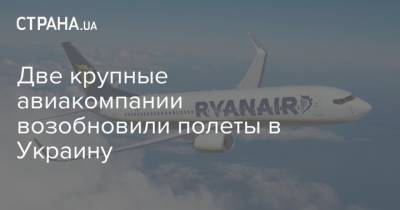 Две крупные авиакомпании возобновили полеты в Украину