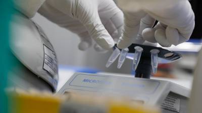 В Бразилии число летальных исходов от коронавируса превысило 50 тысяч
