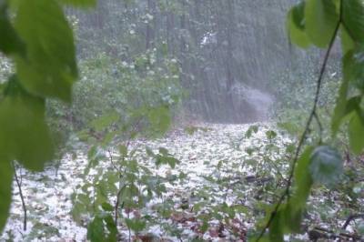 Ливневые дожди ожидаются в Хабаровском крае 22 и 23 июня