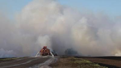 Площадь крупного лесного пожара на востоке Канады снова увеличилась - iz.ru - Россия - Израиль - Canada - провинция Квебек