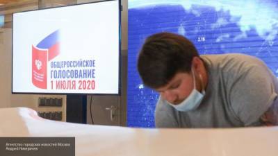 МГИК: лимита наблюдателей на голосовании по поправкам в Конституцию РФ в Москве не будет