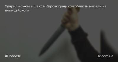 Ударил ножом в шею: в Кировоградской области напали на полицейского
