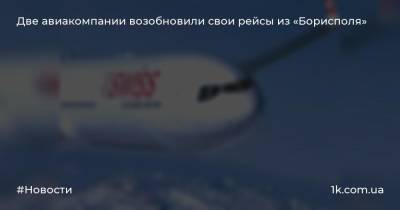 Две авиакомпании возобновили свои рейсы из «Борисполя»