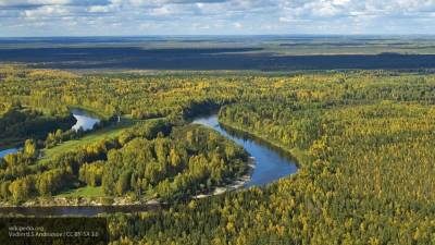 Гидрометцентр прогнозирует аномальную жару на севере Сибири