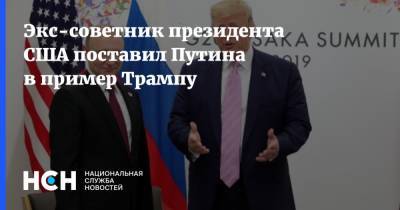 Экс-советник президента США поставил Путина в пример Трампу