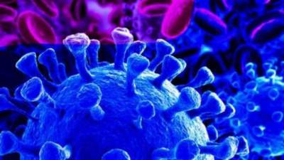 Количество инфицированных коронавирусом в мире превысило 9 млн