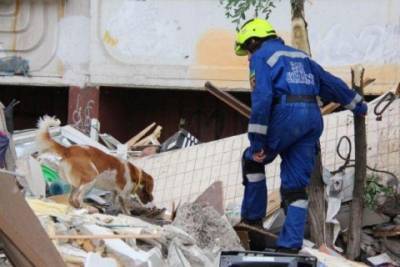 Спасатели заявили о пяти пострадавших вследствие взрыва дома на Позняках