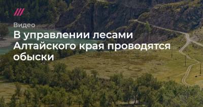 В управлении лесами Алтайского края проводятся обыски
