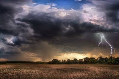 В Украине объявлено штормовое предупреждение: ожидают дождь с грозой и шквалами
