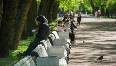В Петербурге выявлено 217 новых случаев коронавируса