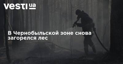 В Чернобыльской зоне снова загорелся лес