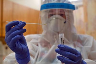 В России провели свыше 17 миллионов тестов на коронавирус