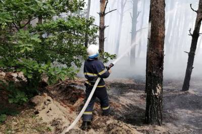 В Чернобыльской зоне новый пожар: горят 3 га леса