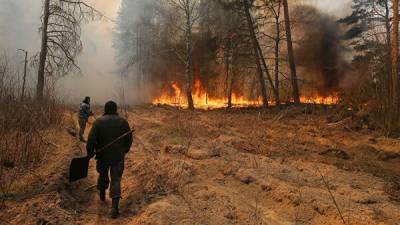 В Чернобыльской зоне горел лес: подробности