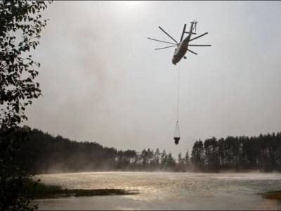 На Камчатке из-за лесных пожаров введен режим ЧС