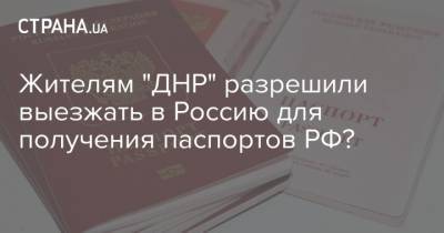 Жителям "ДНР" разрешили выезжать в Россию для получения паспортов РФ✎
