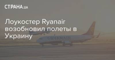 Лоукостер Ryanair возобновил полеты в Украину