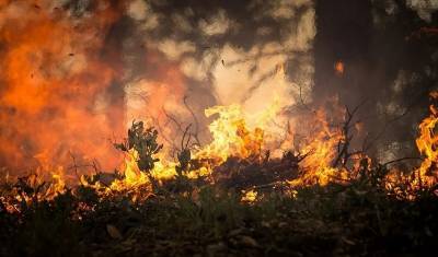 Рекордная жара в Якутии привела к многочисленным лесным пожарам