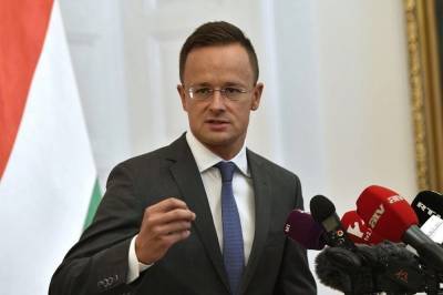 Глава венгерского МИДа посетит Украину