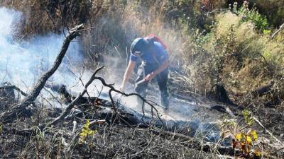 6 тысяч лесных пожаров произошло в России с начала 2020 года
