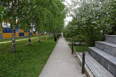 Десятки дворов еще одного российского города отремонтируют