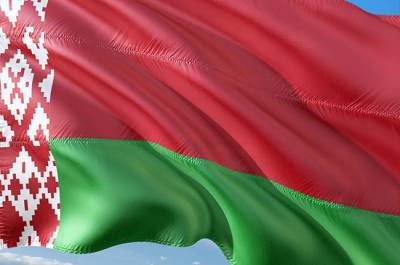 Проживающие в Литве граждане Белоруссии потребовали провести на родине свободные выборы