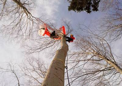 В Чехии парапланерист 4 часа провисел на дереве в ожидании спасателей