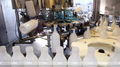 На торгах БУТБ с начала года продано сырого молока на Br38 млн