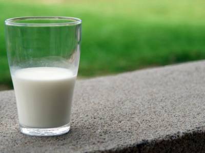 Испанский диетолог рассказал, может ли молоко вызвать рак - golos.ua - Украина - Испания
