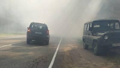 Приозёрский район затянуло дымом из-за лесного пожара