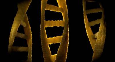 Ученые нашли в ДНК мутации, которые позволяют предсказывать продолжительность жизни людей