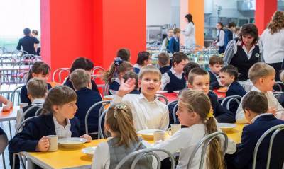 В России ввели бесплатное питание для учеников начальной школы