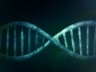 Ученые: Трудное детство «откладывается» в генах
