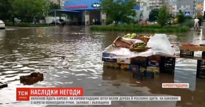 Поваленные деревья и затопленные подворья: Украиной прошлась непогода