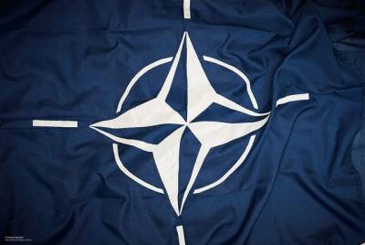 Макрон рассказал об инциденте, доказывающем «смерть мозга» НАТО