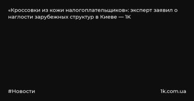 «Кроссовки из кожи налогоплательщиков»: эксперт заявил о наглости зарубежных структур в Киеве — 1K