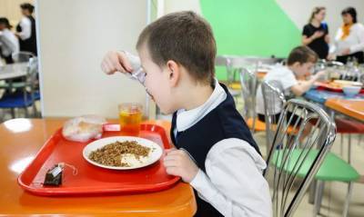 Премьер Михаил Мишустин выделил 21,8 млрд рублей на обеспечение школьников горячим питанием