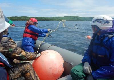Новые волонтеры присоединились к сахалинским "Друзьям океана"