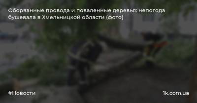 Оборванные провода и поваленные деревья: непогода бушевала в Хмельницкой области (фото)