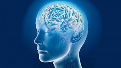 В Свердловской области заболевания головного мозга будет диагностировать искусственный интеллект