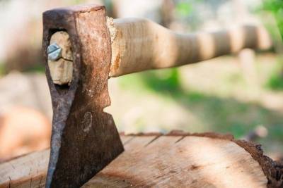 В Бурятии ОПГ из черных лесорубов нарубила деревья почти на 10 млн рублей