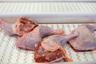 Российские окорочка цыплят оказались опасны для здоровья