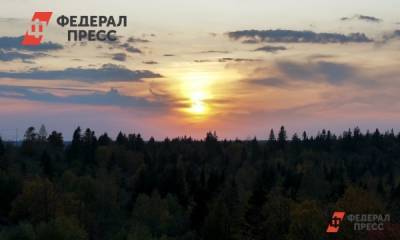 В Красноярском крае посадили 150 тысяч деревьев в память о погибших в ВОВ