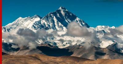 В ледяном слое Тибета нашли 28 новых вирусов