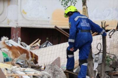Спасатели обнаружили тело еще одной жертвы взрыва дома на Позняках