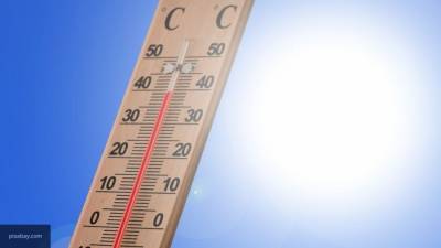 Синоптики предупредили россиян о надвигающейся аномальной жаре
